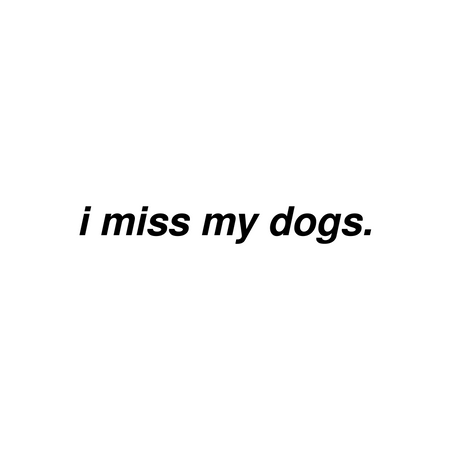 I Miss My Dogs Vinyl Decal
